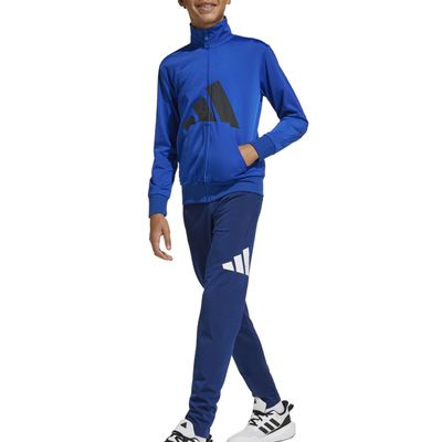 Conjunto adidas Big Logo