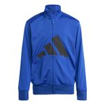 Conjunto-adidas-Big-Logo-Detalles-1