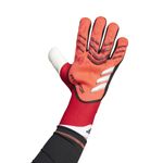 Guantes-adidas-Predator-Pro-Detalles-7