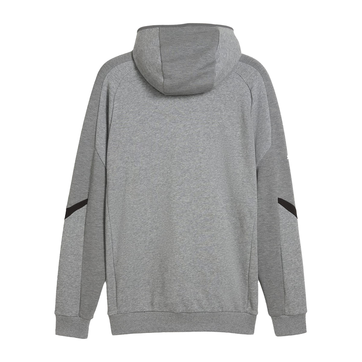 Campera-Puma-Bmw-Motorsport-Espalda