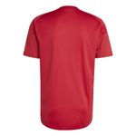 Remera-adidas-Titular-River-Plate-25-Detalles-1