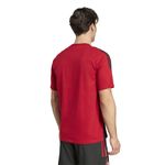 Remera-adidas-River-Plate-25-Espalda