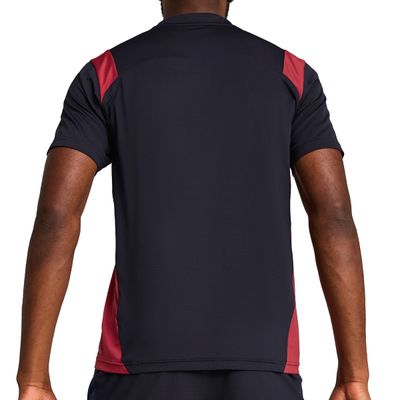 Remera Puma King Pro