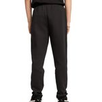 Pantalon-Puma-Evostripe-Espalda