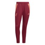 Conjunto-adidas-River-Plate-24-25-.-Detalles-4