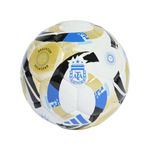 Pelota-adidas-Afa-25-Pro-Sala-Frente-Full
