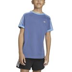 Remera adidas Originals Firebird 3 Stripe Niño Frente