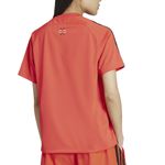 Remera adidas Originals Adicolor Teamgeist Mujer Espalda