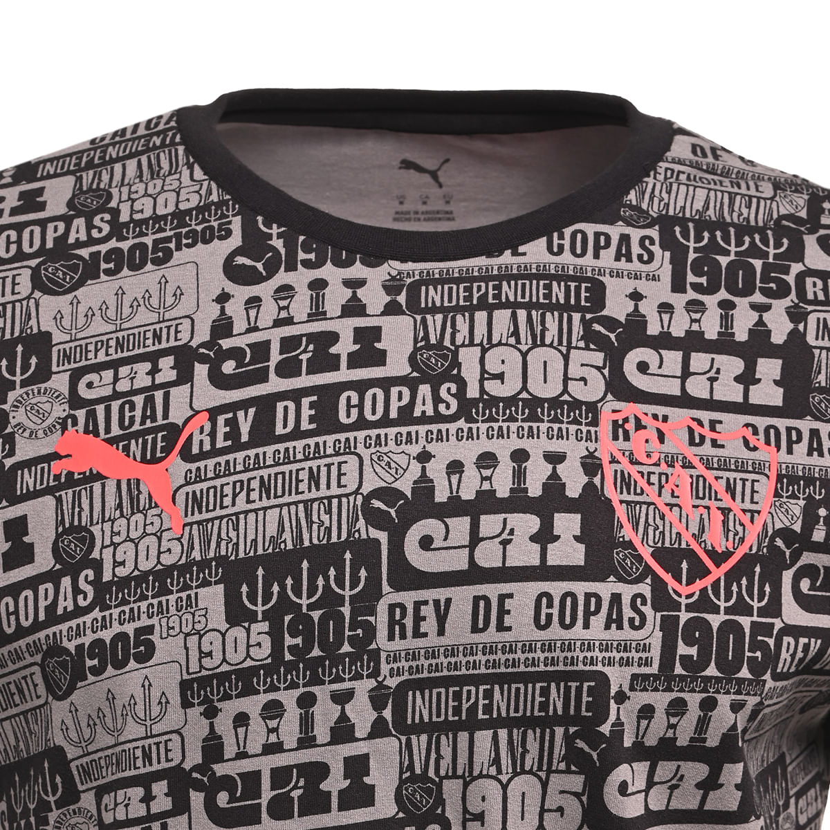 Remera-Puma-Independiente-Culture-Aop-Adp-26-Hombre-Lateral