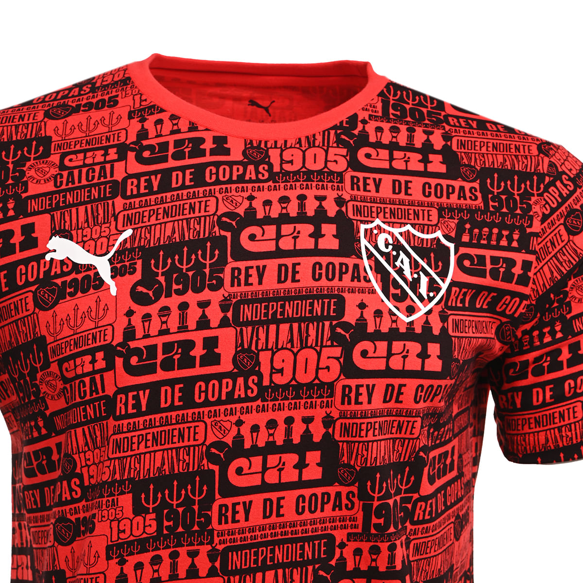 Remera-Puma-Independiente-Culture-Aop-Adp-26-Hombre-Lateral