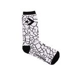 MEDIAS-CONVERSE-CRAQUEL-